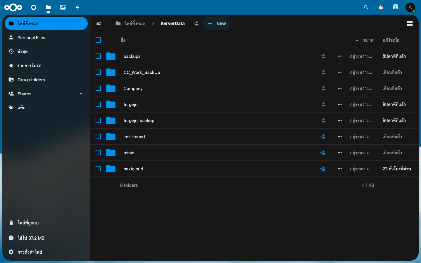 ServerData View